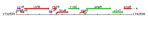 RibC context.gif