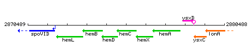 HemC context.gif