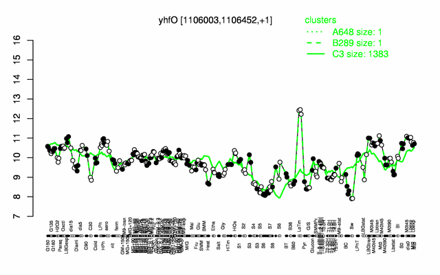 YhfO expression.png