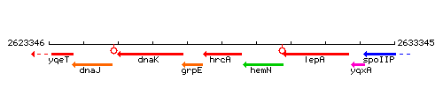 HrcA context.gif