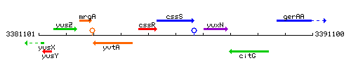 CssS context.gif