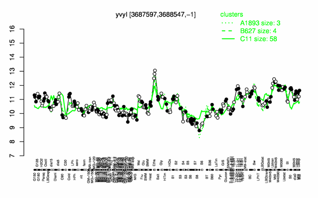 Pmi expression.png