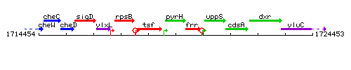 PyrH context.gif