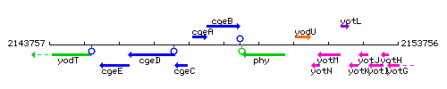 CgeB context.gif