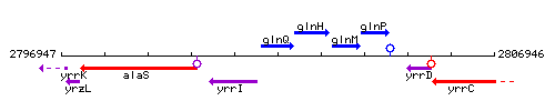 GlnQ context.gif