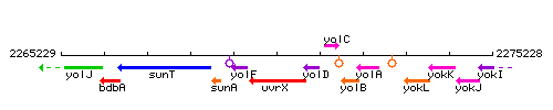 UvrX context.gif