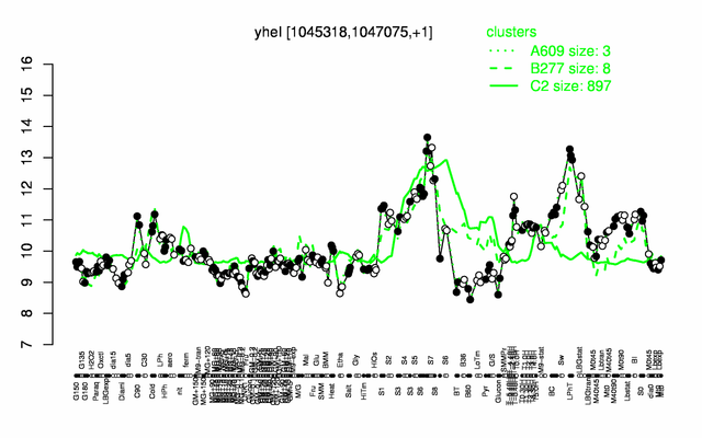 BmrC expression.png