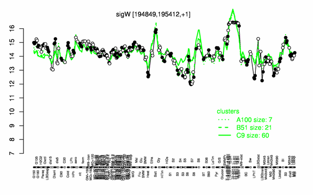 SigW expression.png