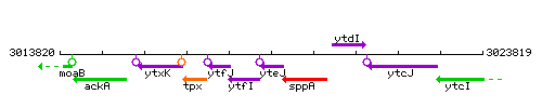 YteJ context.gif