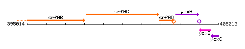 SrfAC context.gif