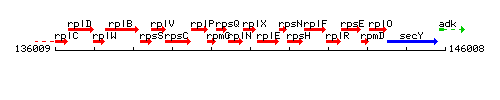 RplX context.gif