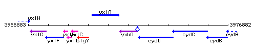 YxkO context.gif