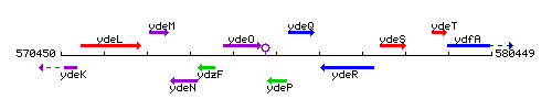 YdeP context.gif