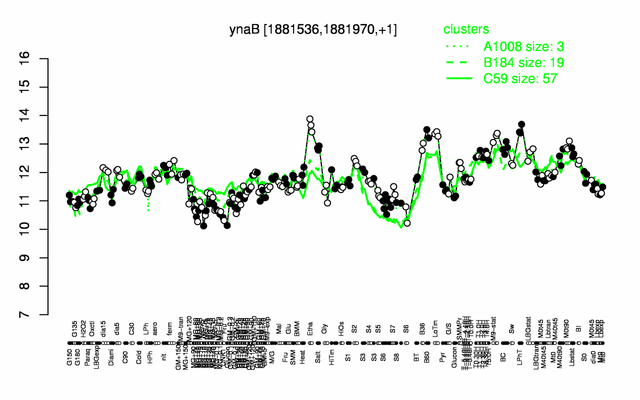 YnaB expression.png