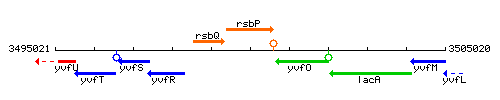 RsbP context.gif