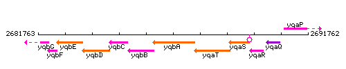 YqbA context.gif