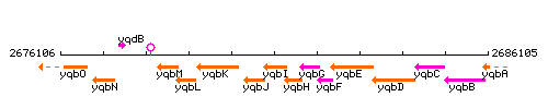 YqbI context.gif