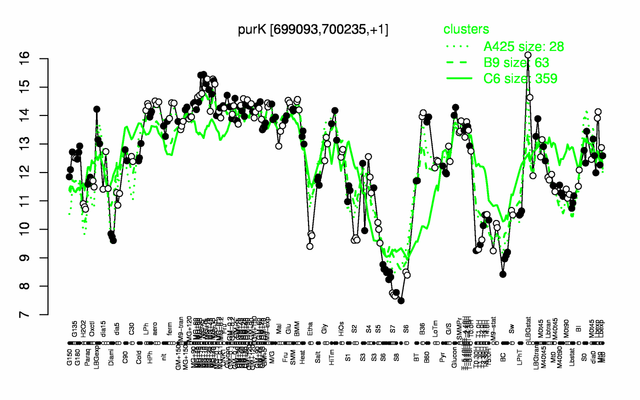 PurK expression.png