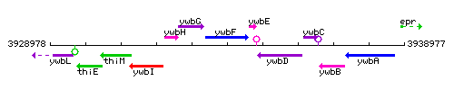 YwbF context.gif