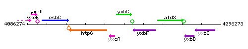 YxbG context.gif