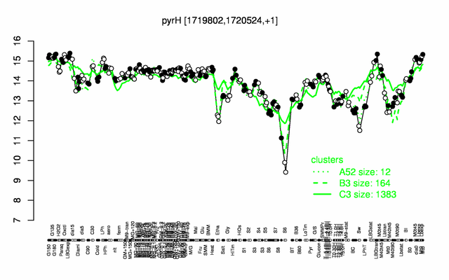 PyrH expression.png