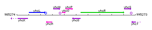 YhcQ context.gif