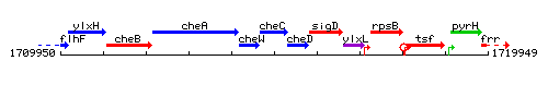 CheC context.gif