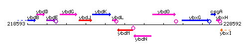 YbdM context.gif