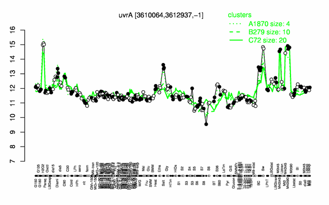 UvrA expression.png