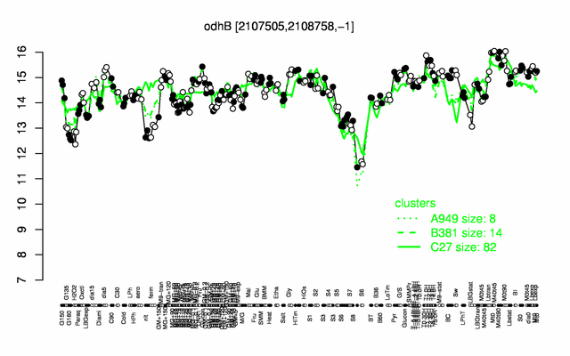 OdhB expression.png