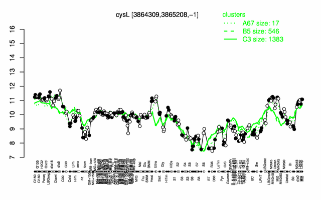 CysL expression.png