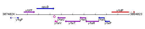 YteT context.gif