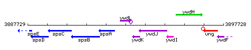 YwdL context.gif