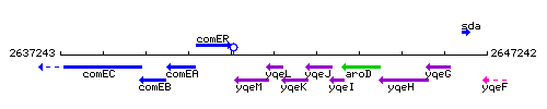 YqeL context.gif