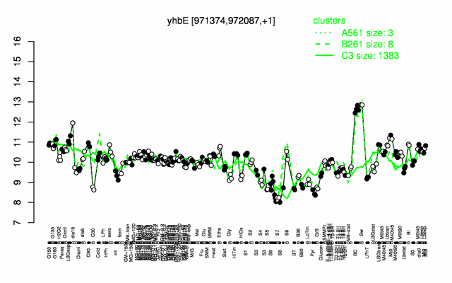 YhbE expression.png