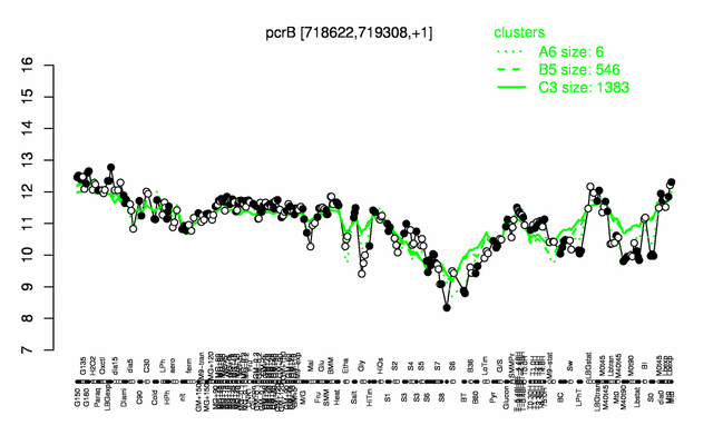 PcrB expression.png