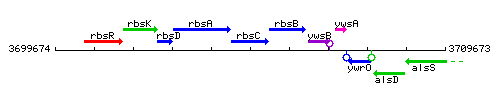 RbsC context.gif