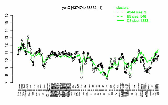 YcnC expression.png