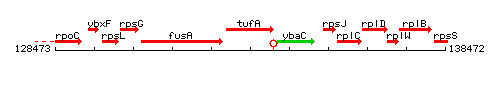 TufA context.gif