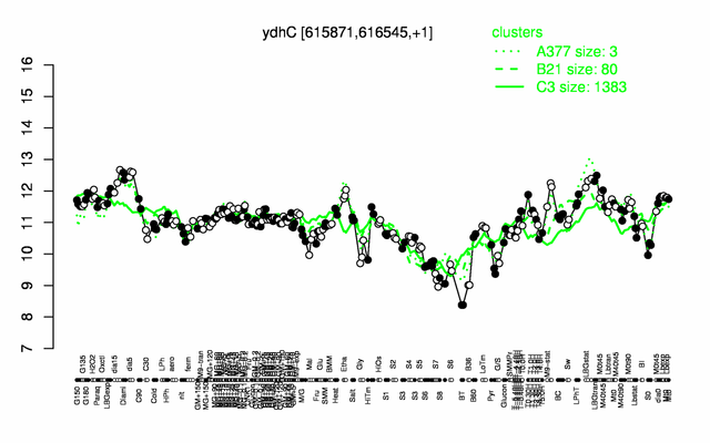 YdhC expression.png