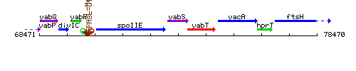 YabS context.gif