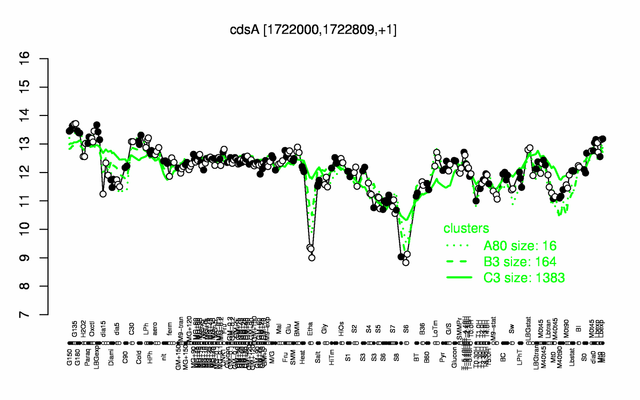 CdsA expression.png