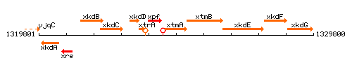 XtmA context.gif