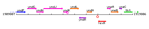 YndL context.gif