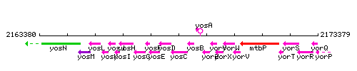 YosC context.gif