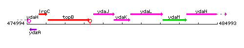 YdaK context.gif