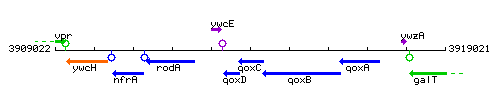 QoxC context.gif