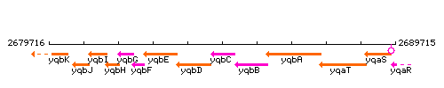 YqbC context.gif